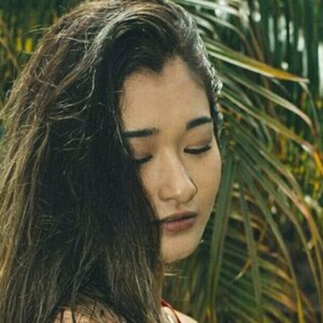 Koreankums hermosa estrella imagen