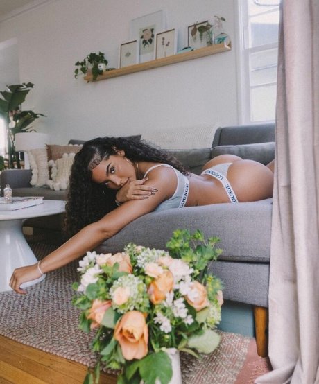 Malaika Terry star du porno adulte collection