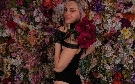 Busy B ASMR étoile chaude img