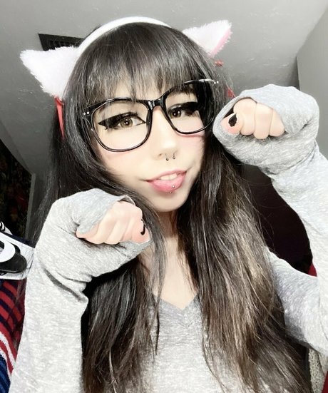 kiwisunset étoile de haute qualité galerie