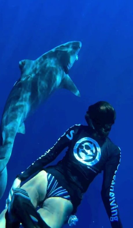 Nina Dobrev belle star du porno images