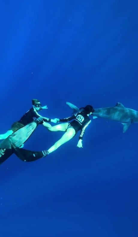 Nina Dobrev modèle image