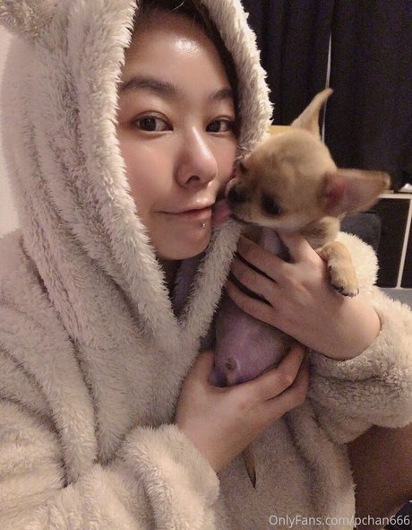 Pchan666 mejor estrella porno imagen