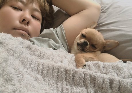 Pchan666 étoile magnifique image