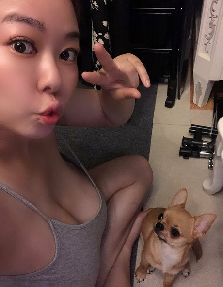 Pchan666 art étoile galeries