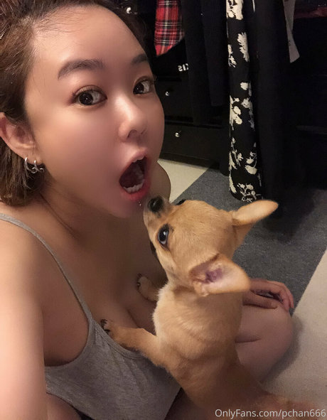 Pchan666 nus de stars du porno image