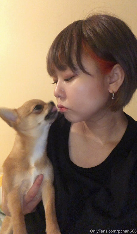 Pchan666 pornstar nudes galleries