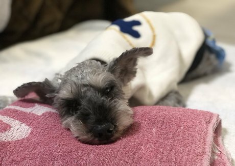 Pchan666 modelo hermosa foto