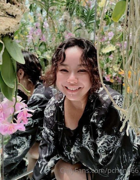 Pchan666 bonita estrella archivo