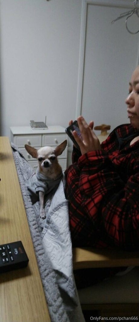 Pchan666 bonita actriz galerías