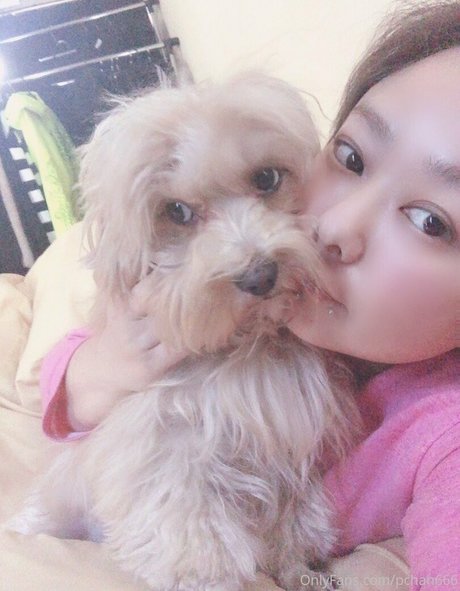 Pchan666 étoile galerie