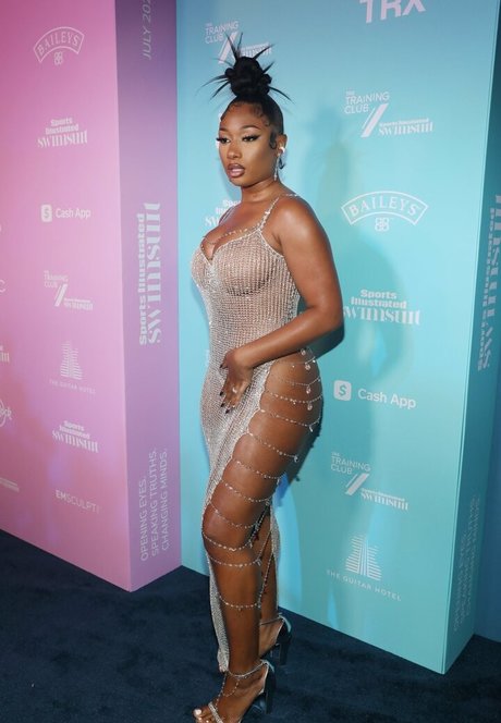 Megan Thee Stallion star top picture