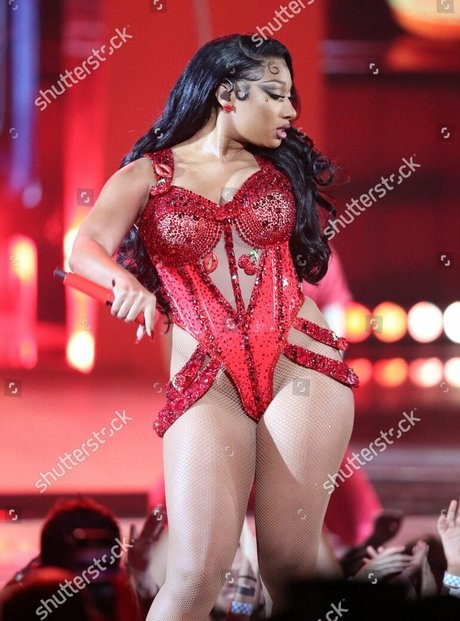 Megan Thee Stallion top star pic
