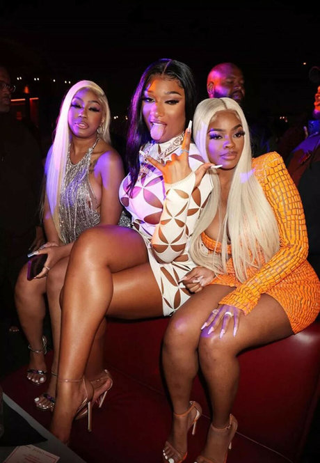 Megan Thee Stallion model best pic