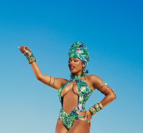 Megan Thee Stallion sex star gallery