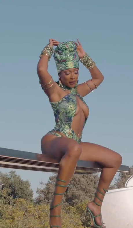 Megan Thee Stallion xxx actress archive