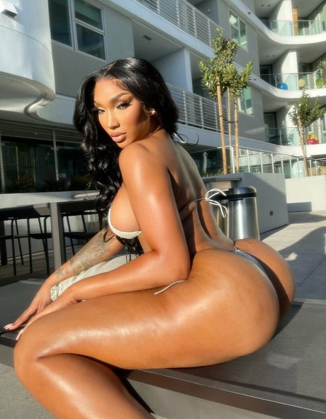 Tokyo Stylez actrice érotique collection