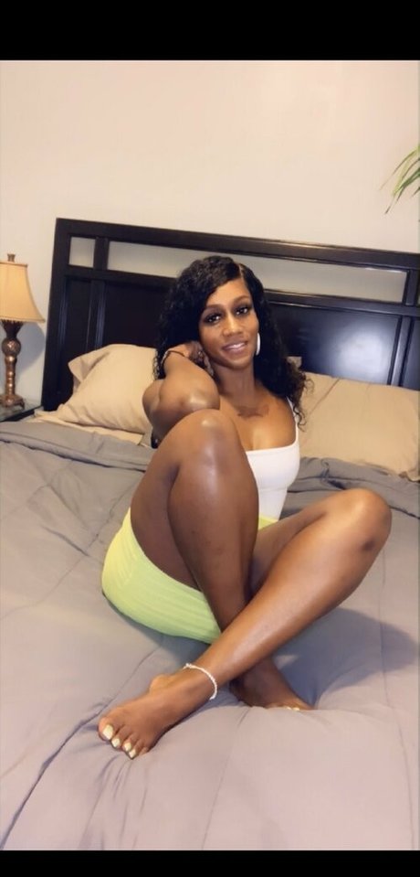 chaton mouillé onlyfans adulte meilleur images