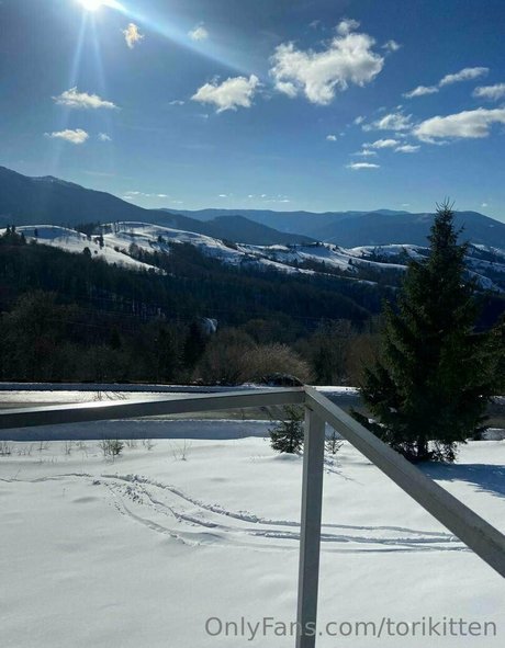 torikitten estrella libre foto