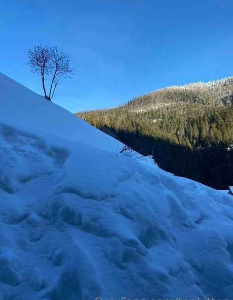 torikitten modèle xxx photo