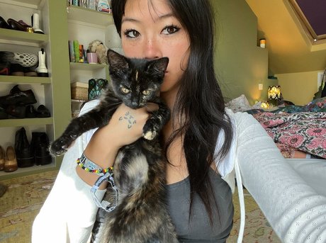 Radvxz art étoile photos