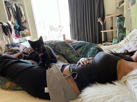 Radvxz estrella superior galería