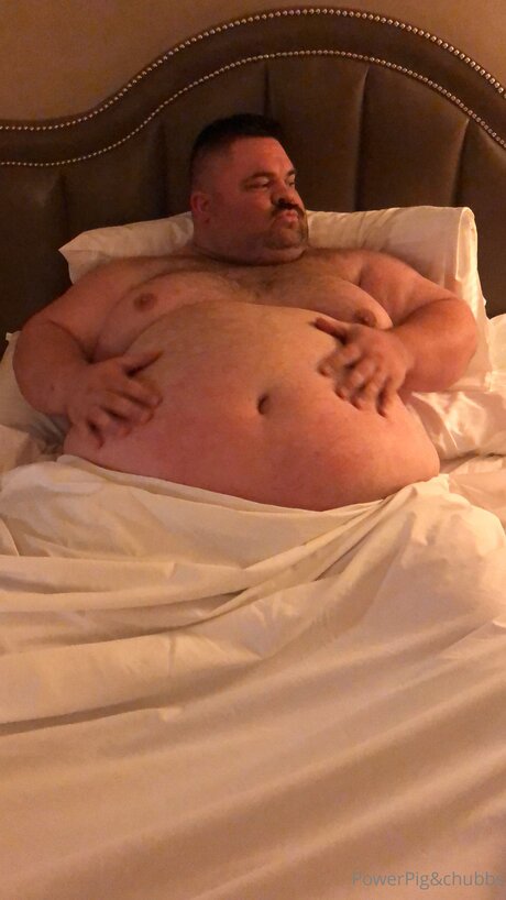 Powerpigspen estrella libre galerías