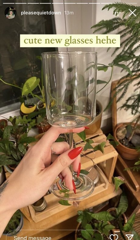 Pleasequietdown erotic model picture