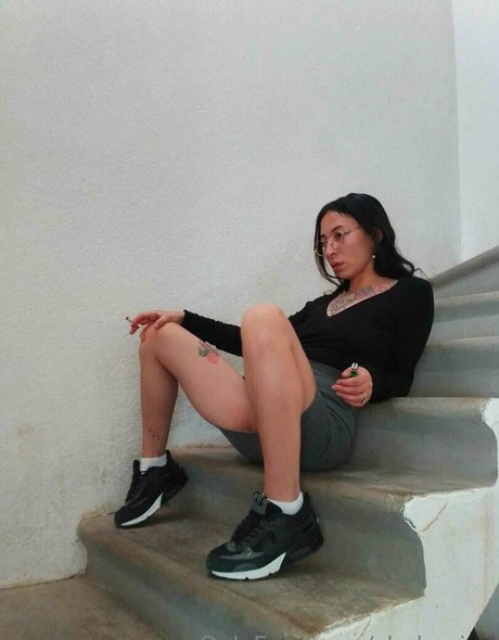 chakanice modèle gratuit galerie