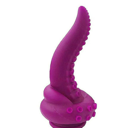 chakanice modèle de haute qualité collection