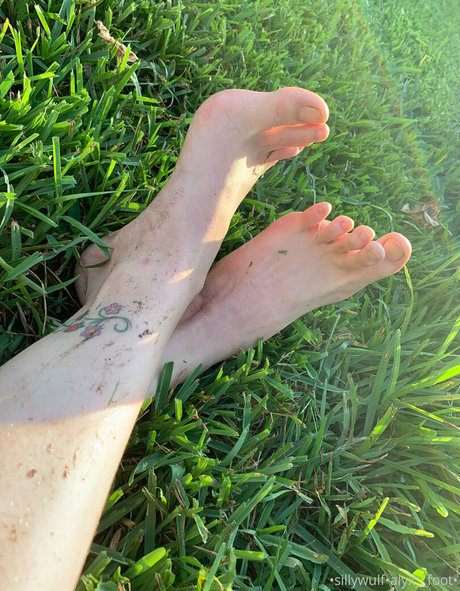 tinykittie estrella porno de arte recopilación