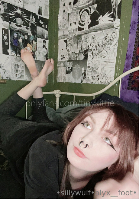 tinykittie modelo de arte archivo