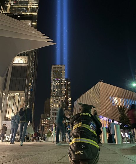 amyanderssen beau modèle des photos