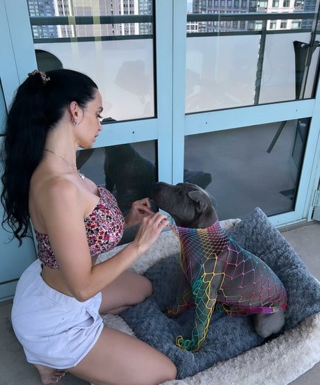 amyanderssen étoile magnifique img