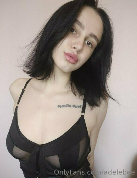 adelebee étoile de haute qualité archive