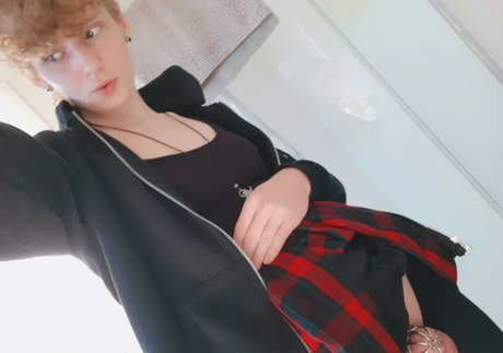 parkdaleart hermosa estrella galería