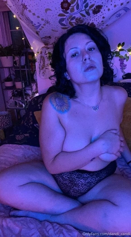 dandi candi modèle adulte archive