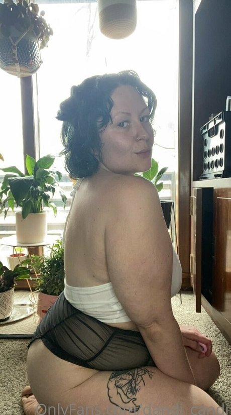 dandi candi linda estrella imagen