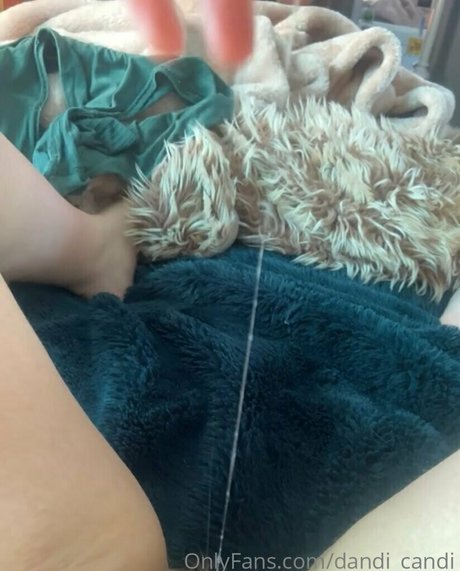 dandi candi pornstar hd picture