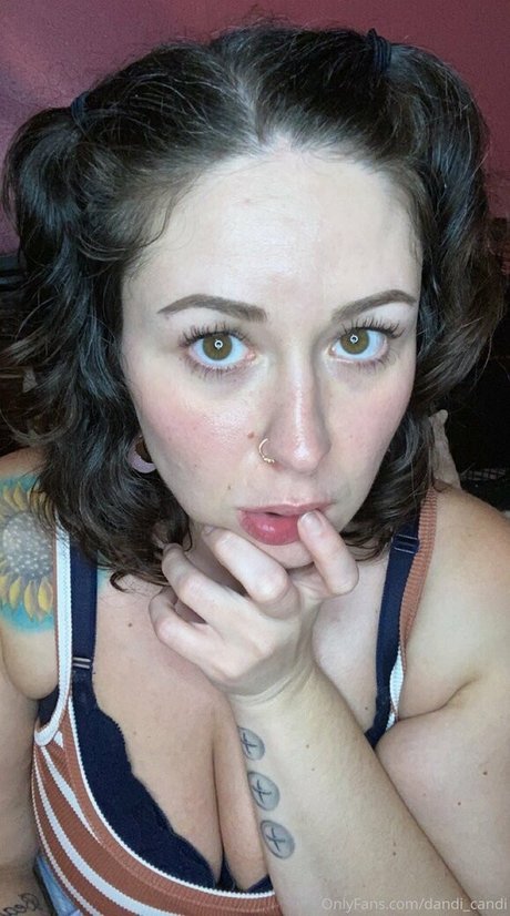 dandi candi estrella porno perfecta galería