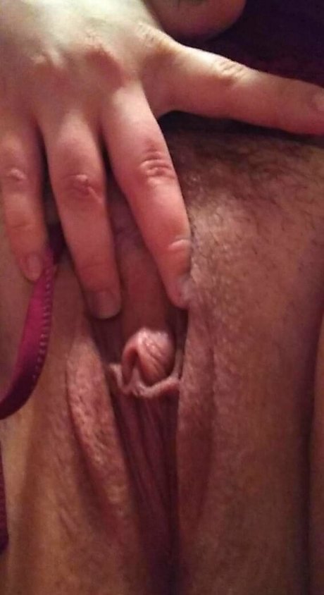 evelynmusefree estrella adulta recopilación