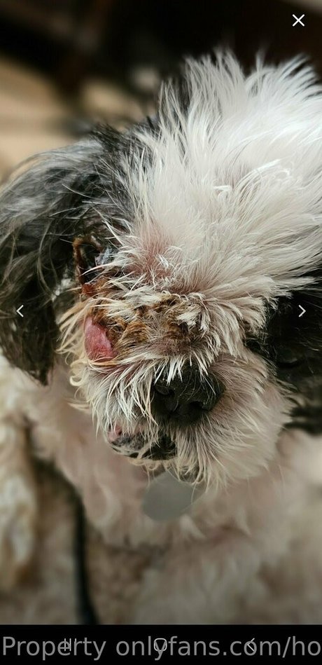 hotwifevenessa actriz de desnudos recopilación