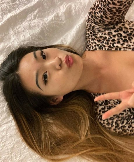 jassboo ty nus étoiles collection