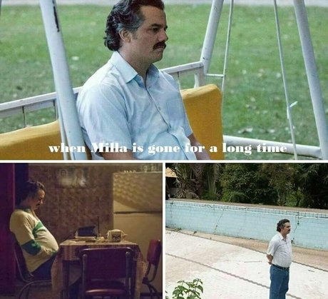 milla snake belle star du porno collection