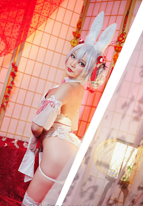 darkzerophoto estrella superior foto