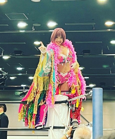 Mina Shirakawa star pornographique images