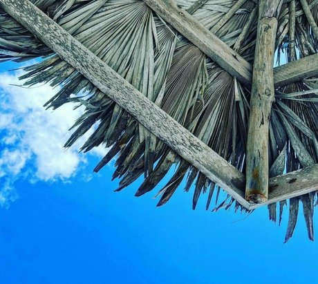 princesspastah bonita actriz recopilación