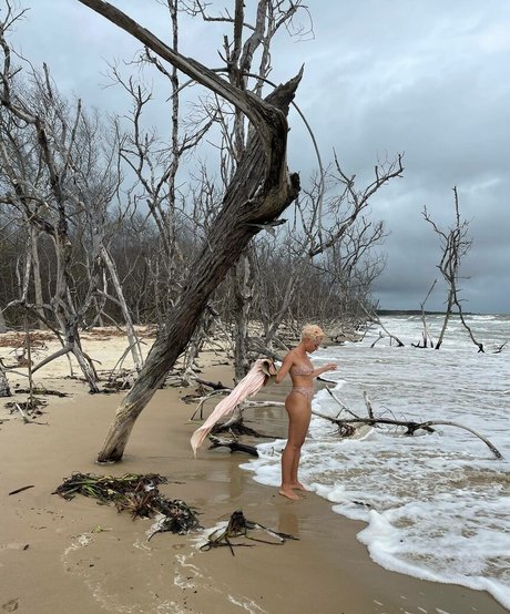 Bruna Linzmeyer actriz de alta calidad archivo