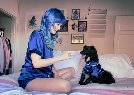 bluejayfree estrella hd galería