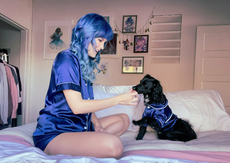 bluejayfree star exclusive image